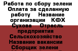 Работа по сбору зелени. Оплата за сделанную работу. › Название организации ­ КФХ Сухова  › Отрасль предприятия ­ Сельскохозяйство › Название вакансии ­ Сборщик зелени  › Место работы ­ Г. Лаишево  - Марий Эл респ. Работа » Вакансии   